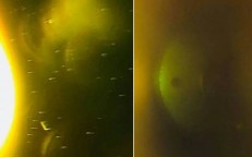 Seven observatories mysteriously closed down throughout the world, according to an astronomer who saw a fleet of UFOs on the Sun