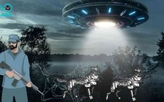 Strange metallic UFO seen by James Flynn that captured dogs and shot a dangerous beam of light