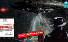 The Aviary UFO Organization Was Created To Share Secret UFO Files