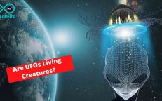 UFOs: Are They Living Things? In the vastness of space, UFOs might be creatures resembling jellyfish