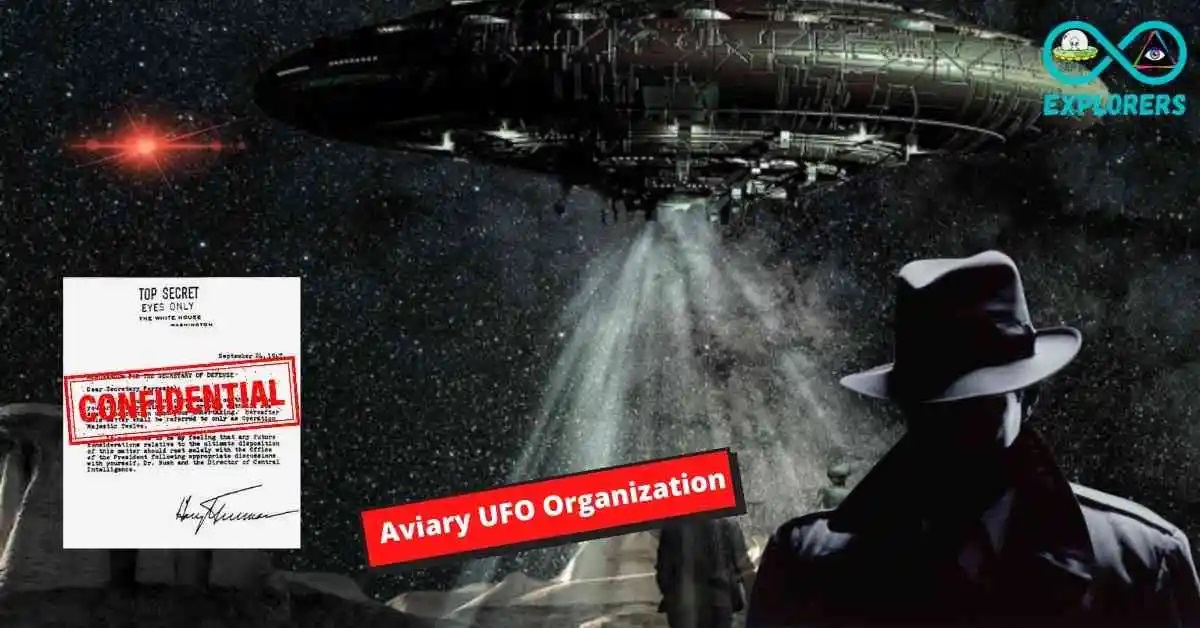 The Aviary UFO Organization Was Created To Share Secret UFO Files